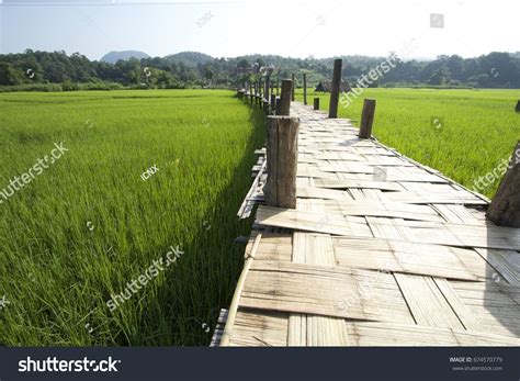 Rural Area Landscape Photography Northern Thailand Stock Photo ...