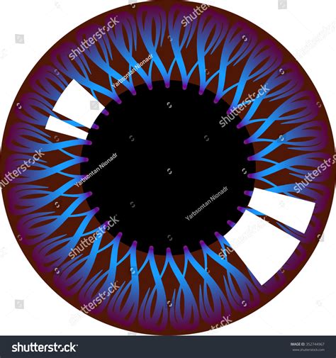 Human Eye Iris Stock Vector (Royalty Free) 352744967 | Shutterstock