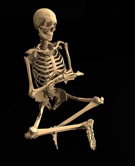 Skeleton Sitting Down Stock Photos, Pictures & Royalty-Free Images - iStock