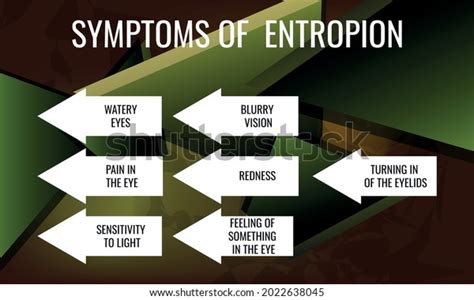 Symptoms Entropion Vector Illustration Medical Journal Stock Vector ...