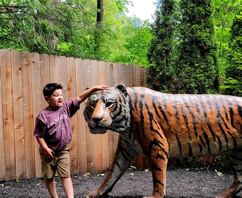 Discover Fascinating Animals at the Zoo in Syracuse [PHOTOS]