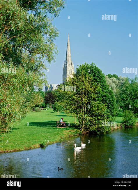 GB WILTSHIRE SALISBURY CATHEDRAL RIVER NADDER Stock Photo - Alamy