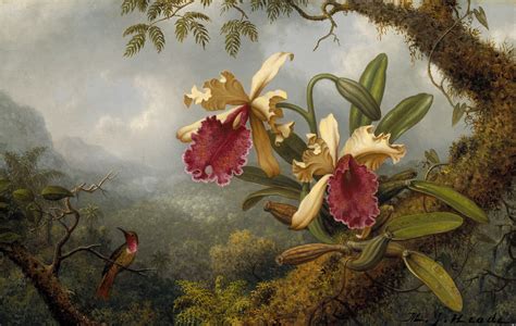 Artist Martin Johnson Heade remembered as a genius - UGA Today