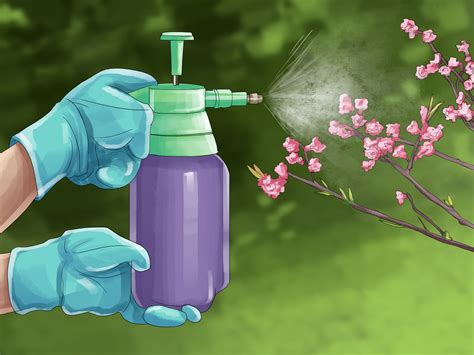 How to Buy Organic Fungicides: 12 Steps (with Pictures) - wikiHow