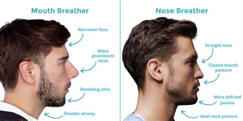 Mouth Breather vs. Nose Breathing | Diagram by Dryft Sleep | Dryft Sleep