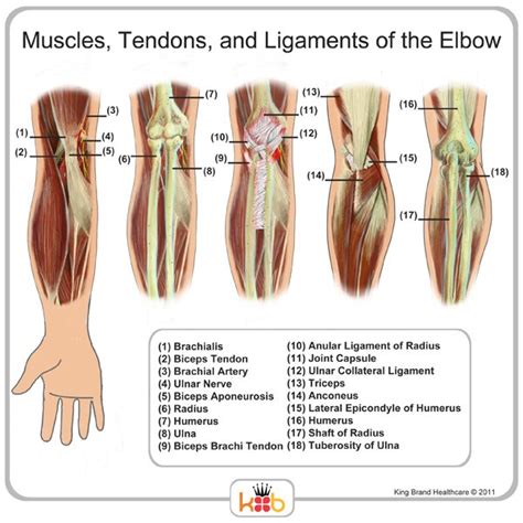 King Brand Elbow Injury Treatment