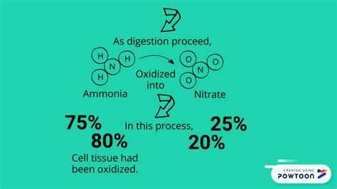 Aerobic Digestion - YouTube