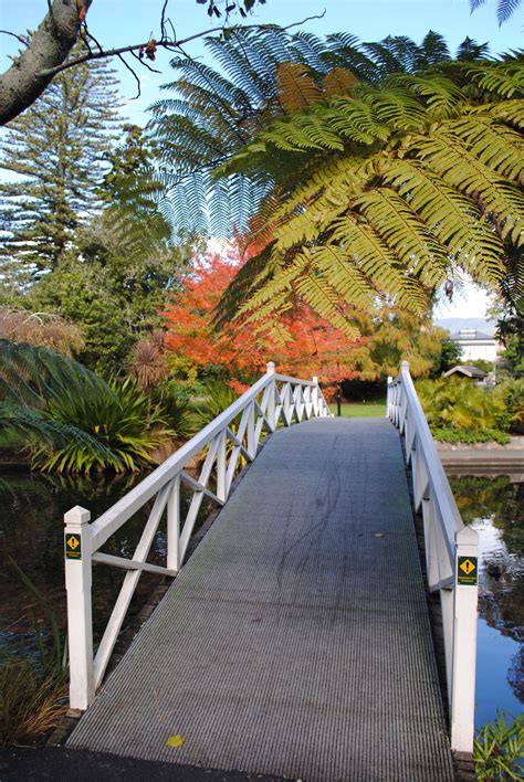 Queens Gardens in autumn. Nelson, NZ. | New zealand south island, World ...