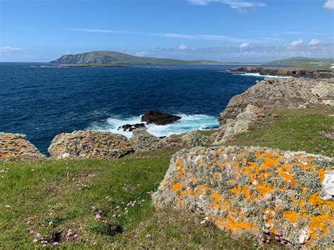 Shetland Wildlife (Sumburgh) - All You Need to Know BEFORE You Go