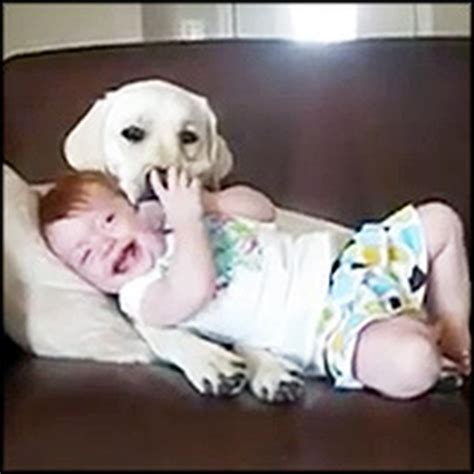 The BEST Babies Laughing at Dogs Compilation on the Internet! Click ...