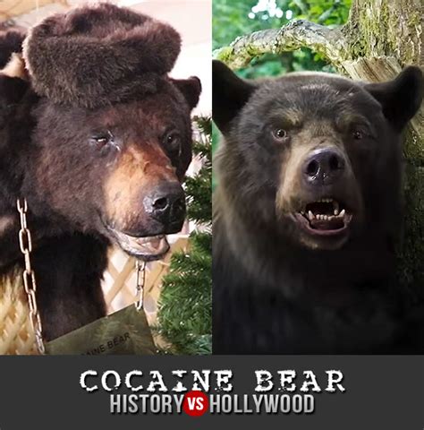 Cocaine Bear - RuahZhaocheng