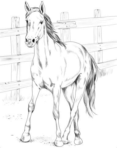 Realistic Mustang Horse Coloring Pages : Printable horse coloring pages ...