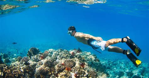 Best Snorkeling on Oahu & Places to Snorkel Near Honolulu - Thrillist