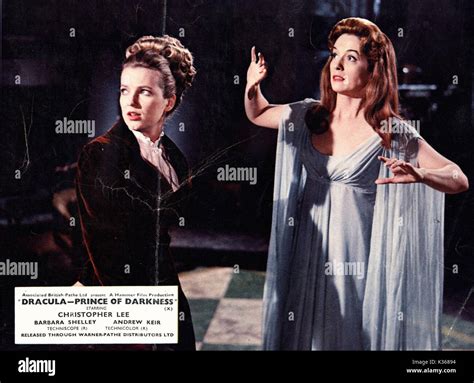 Barbara shelley hammer hi-res stock photography and images - Alamy