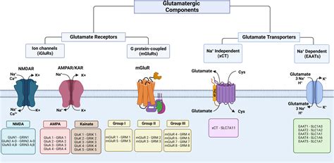 Frontiers | Glutamatergic system components as potential biomarkers and ...