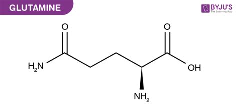 Glutamate Structure