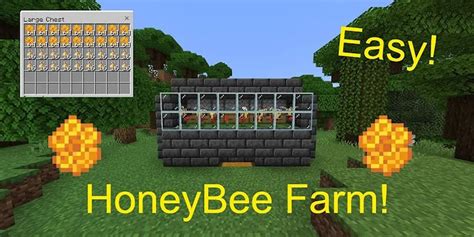 How to make automatic bee farm minecraft