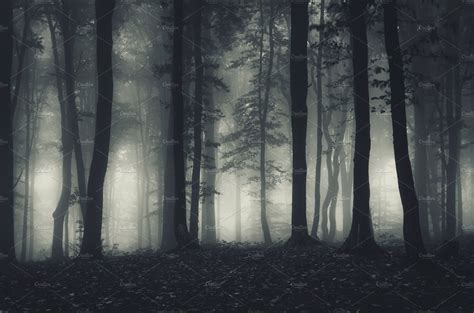 Dark haunted forest at night containing dark, forest, and fog | Nature ...