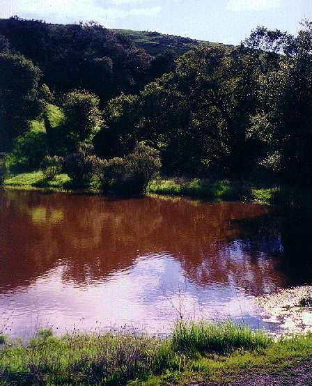 New Views - Rainbows and Waterfalls - Santa Teresa County Park