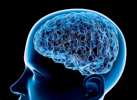 Study showing how the brain retrieves information may help people with ...