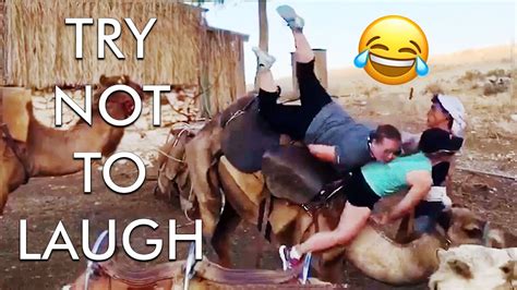 Try Not to Laugh Challenge! 😂 | Best Funny Fails - YouTube