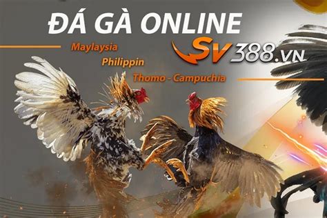 Trang game bài uy tín hàng đầu Việt Nam hiện nay – Đá Gà Thomo SV388 ...