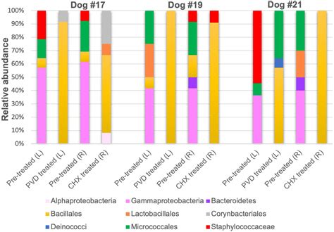 Frontiers | Biocidal effects of a wipe-down procedure using common ...