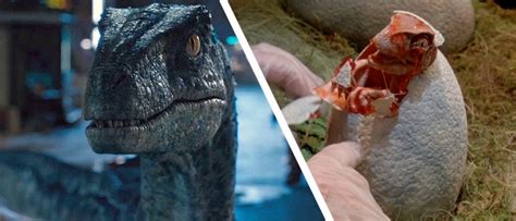 Cool Stuff: Bring Home Blue The Raptor Or A Hatched Baby From 'Jurassic ...