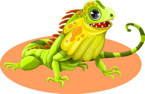 Collection of Iguana PNG. | PlusPNG