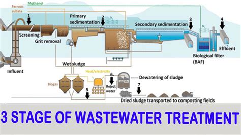 What are the three stages of sewage treatment? How does each stage work?