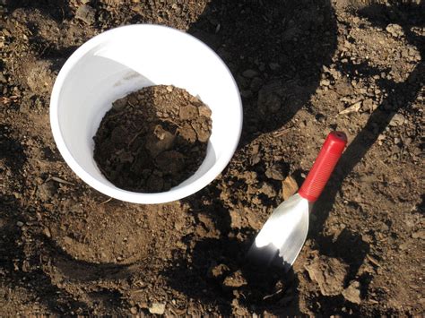 Front Range Food Gardener: Soil testing a good idea