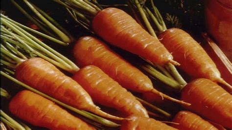 Carrots and celery may help prevent growth of colon cancer | Fox News