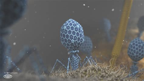 Phage YouTube video at 1.1M views | biolution