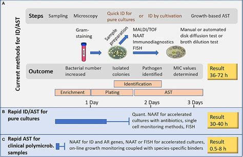 Frontiers | Modern Tools for Rapid Diagnostics of Antimicrobial Resistance