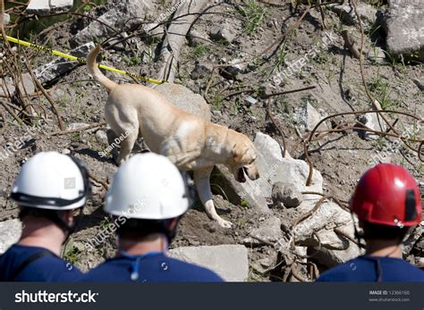 Cadaver-dog Images, Stock Photos & Vectors | Shutterstock