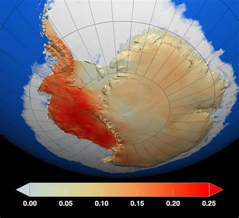 UN assesses if Antarctica temperature reading is record high | CBC News