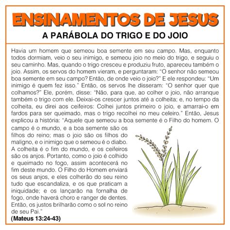 A parábola do trigo e do joio » Jesus Kids