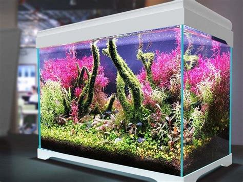 10 Fish Tank Design Ideas For A Beautiful Home Aquarium