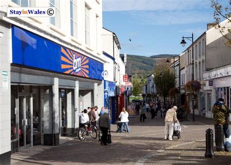 Pictures of Mountain Ash