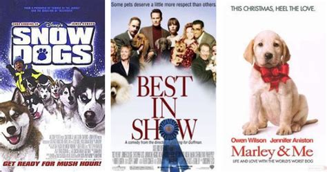 15 Best Comedy Dog Movies