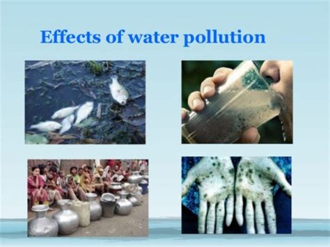 Water Pollution Facts: Causes, Effects & More - Facts.net