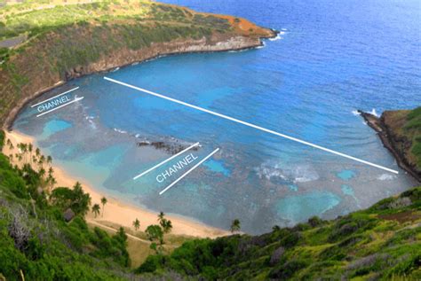 Hanauma Bay Snorkeling - The ULTIMATE Guide - Pro Adventure Guide