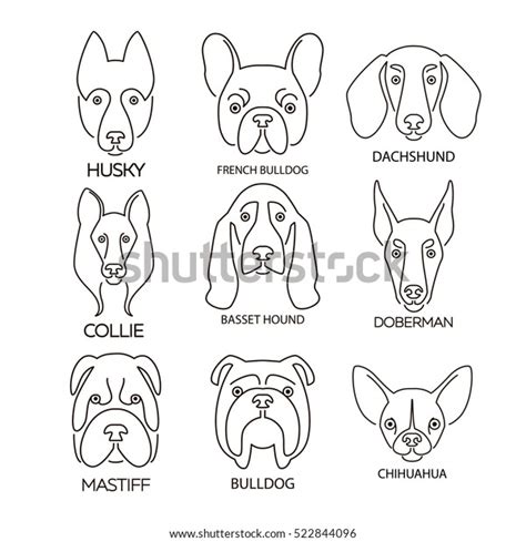 23,740 Dog Face Line Drawing Images, Stock Photos & Vectors | Shutterstock