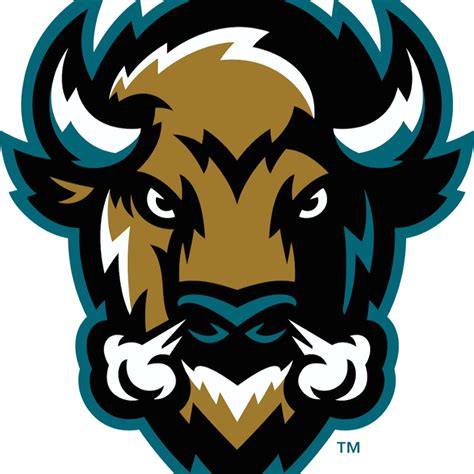 photo.jpg (900×900) | Bison logo, Sports logo design, Sports logo ...