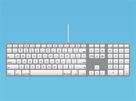 Apple Keyboard Vector Art & Graphics | freevector.com