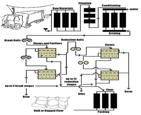 The Process Of Making Flour | slsi.lk