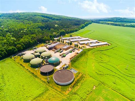 Biomass: Renewable Energy Source – Mother Earth News