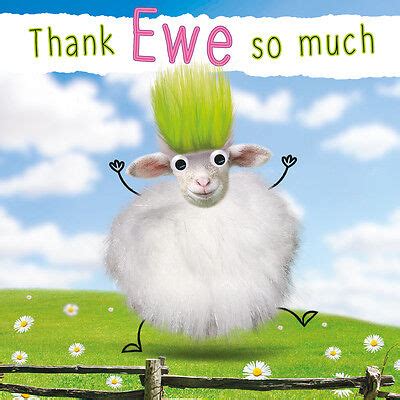 Thank You Sheep Meme