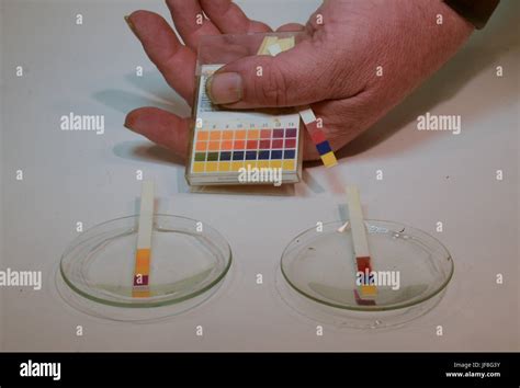 Universal indicator strips for pH value are shown in use on an alcaline ...