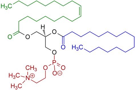 Amphoteric - WAX-EMULSIONS.COM